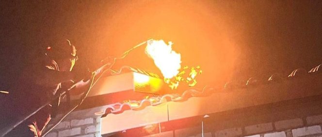 
					Damkar Rembang Tangani 129 Kejadian dalam Tiga Bulan, Didominasi Evakuasi Ular dan Tawon Vespa