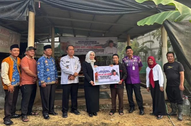 
					Presiden Prabowo Salurkan Sapi Kurban 1 Ton untuk Masyarakat Demak