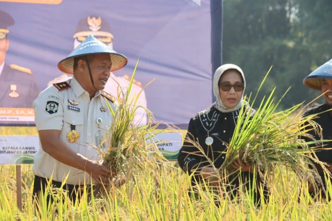 
					Rutan Blora Didorong Produksi Padi Organik, Targetnya Tembus Jakarta ‎
