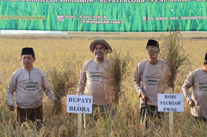 
					Bupati Arief Rohman Ikuti Panen Padi Organik di Wado, Apresiasi Model Pemberdayaan Petani PCNU Blora ‎