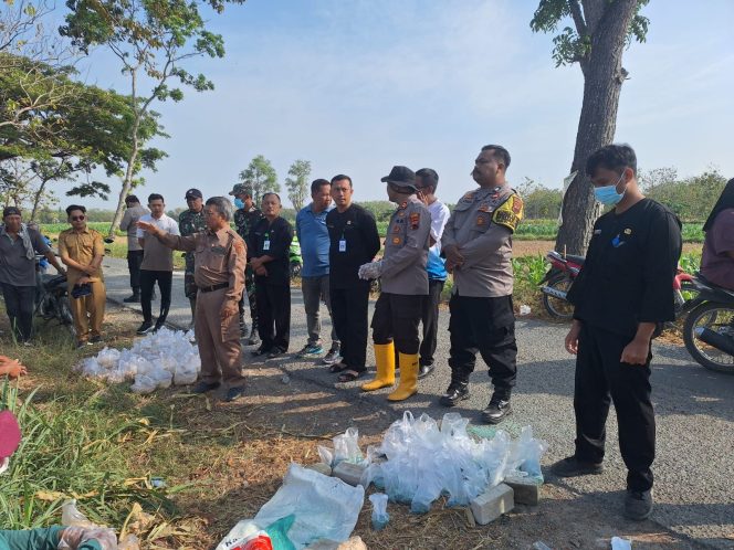 
					Hama Tikus Merajalela, Kecamatan Jepon Gerakkan Pengendalian di Desa Geneng ‎