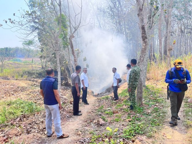 
					Kebakaran Lahan di Japah Blora, Polisi Pastikan Api Padam dan Imbau Warga Waspada