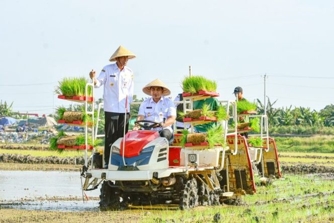 
					Wagub Jateng Taj Yasin Tanam Padi di Demak, Awali Pemulihan 512 Hektare Lahan Terdampak Banjir