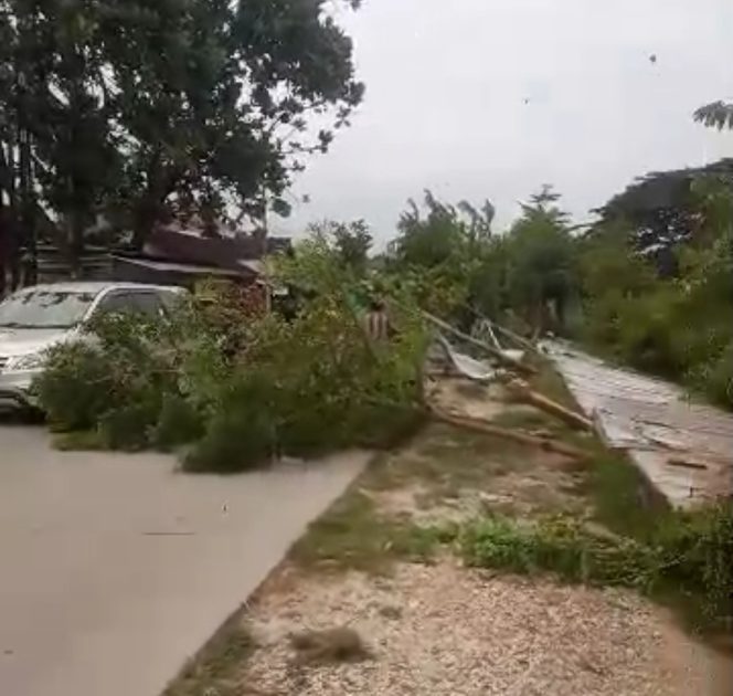 
					Pagar Kantor KPH Randublatung Roboh, ADM: Sudah Miring Sejak Lama, Pedagang Sudah Diberi Peringatan