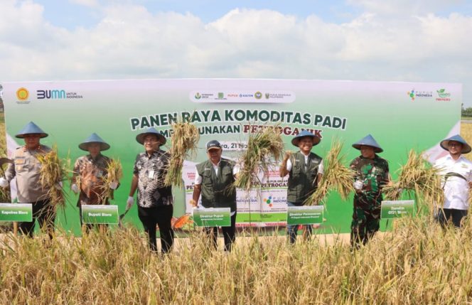 
					Panen Raya Padi dengan Pupuk Organik di Blora, Hasil Capai 8 Ton per Hektare