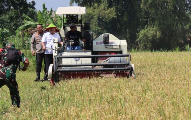 
					Blora Ikut Panen Raya Serentak Nasional, Arief Rohman Tegaskan Komitmen Swasembada Pangan