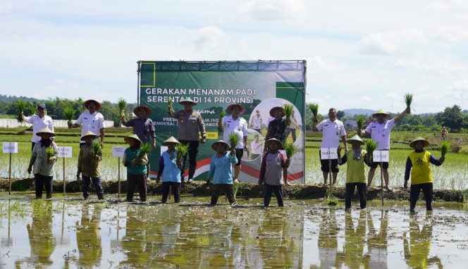 
					Blora Dukung Gerakan Nasional Menanam Padi Serentak, Capaian Luas Tanam Lampaui Target Nasional