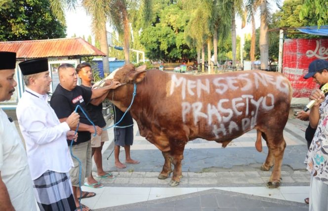 
					Presiden dan Mensesneg RI Beri Sapi Kurban untuk Warga Blora, Berasal dari Peternak Lokal