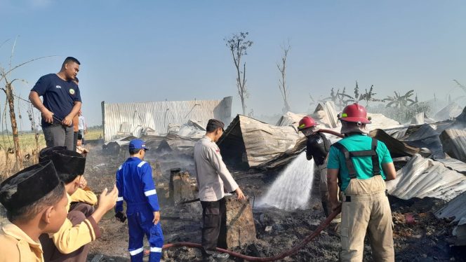 
					Kebakaran Kandang Ayam di Randublatung, Blora: Kerugian Capai Rp800 Juta