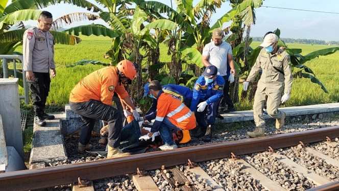 
					Warga Padangan Bojonegoro Tewas Tertabrak Kereta di Kentong, BPBD Blora Lakukan Evakuasi