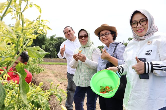 
					Dua Menteri Hadiri Panen Cabai di Jepon, Bupati Arief Rohman Tegaskan Komitmen Perkuat Ketahanan Pangan Blora