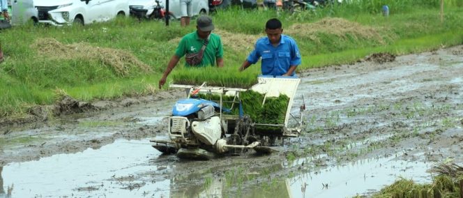 
					Produksi Pertanian Rembang 2025 Naik 6,84 Persen, Padi Surplus hingga 30 Bulan