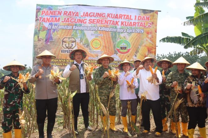
					Panen Raya Jagung di Randublatung, Blora Perkuat Posisi sebagai Lumbung Pangan Nasional ‎