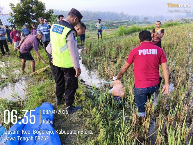 
					Diduga Kambuh Vertigo, Petani di Bogorejo Blora Ditemukan Meninggal di Sawah ‎
