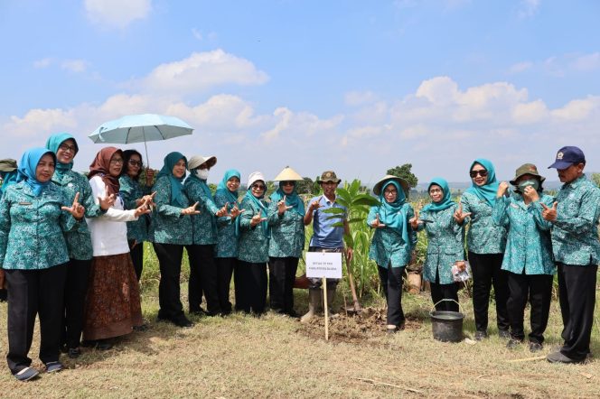 
					TP PKK Blora Tanam Ratusan Bibit Pohon di Situs Kesongo, Dorong Pelestarian Lingkungan ‎