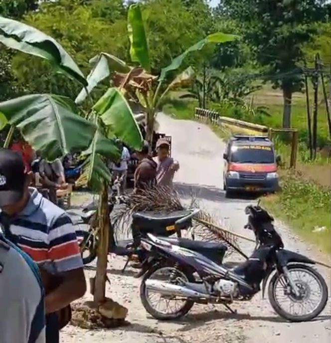 
					Warga Ledok Tanam Pohon Pisang di Tengah Jalan, Protes Kerusakan Akibat Lalu-Lalang Truk Pertamina